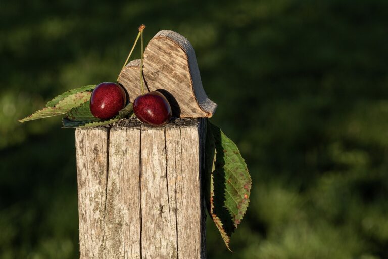 The Importance of Hearing Health in Community Programs