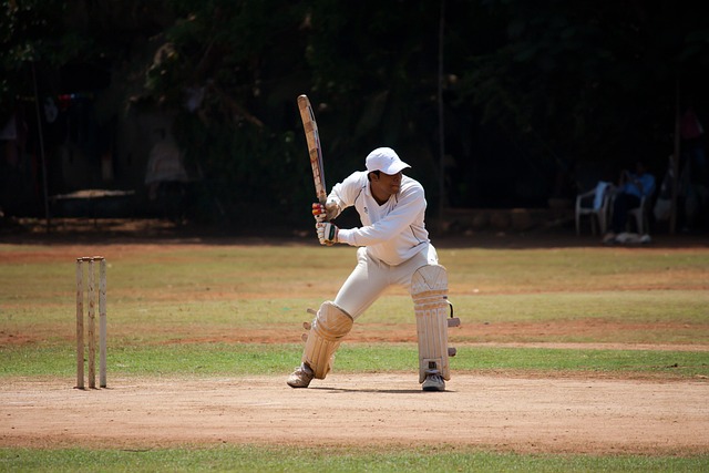 How Online Cricket Games are Promoting Teamwork: Laser247, Gold365, 11xplay